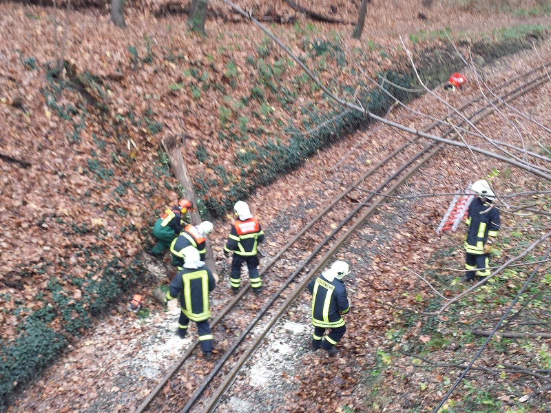 Baum auf Schienen - Radebeul - 18.11.2015 - Bild #1