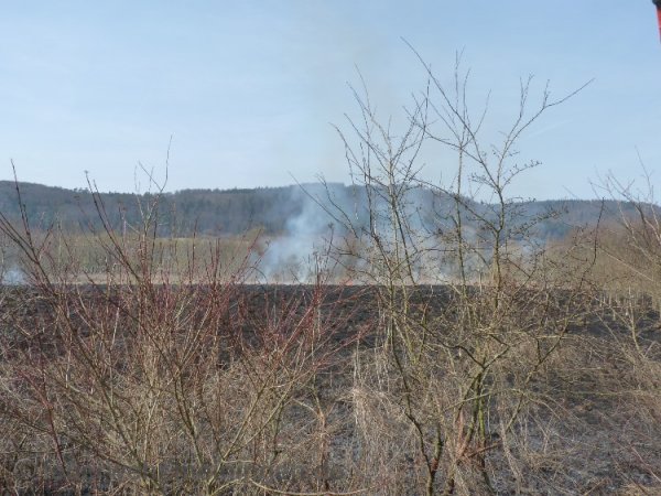 Flächenbrand - Meiningen - 25.03.2015 - Bild #1