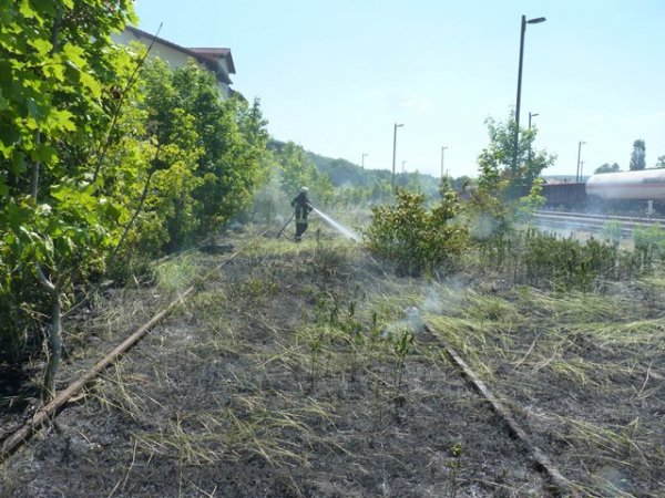 Bahndamm-/Wiesenbrand - Meiningen - 04.06.2015 - Bild #1