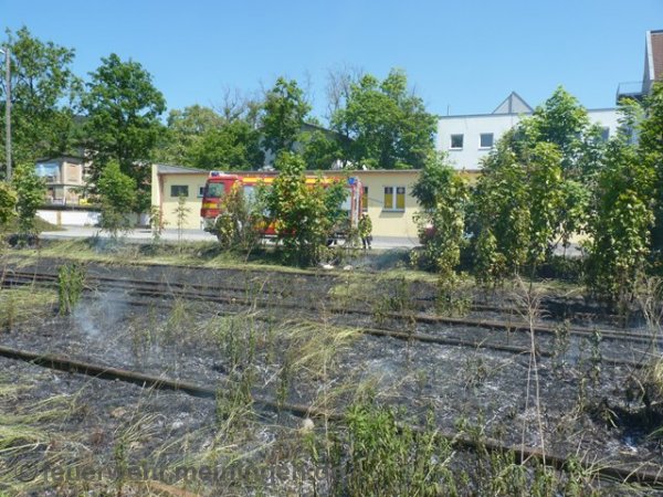 Bahndamm-/Wiesenbrand - Meiningen - 04.06.2015 - Bild #2