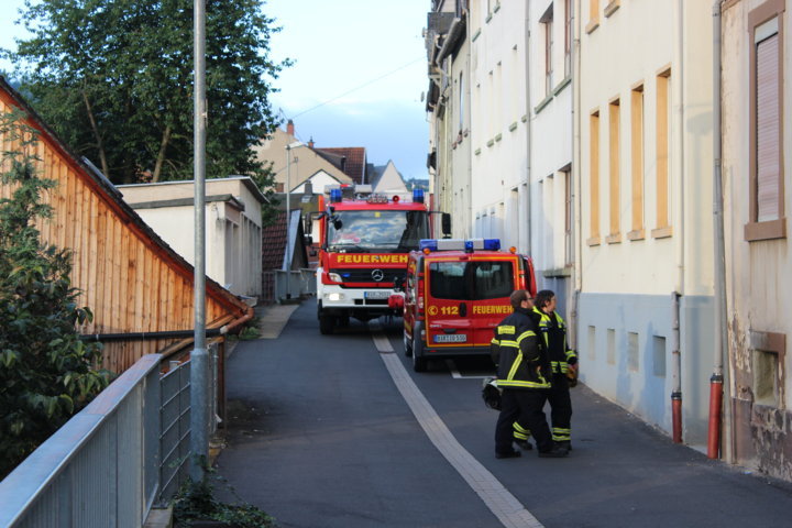 Tierrettung - Idar-Oberstein - 28.08.2014 - Bild #1