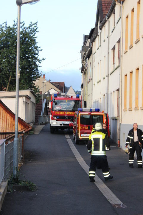 Tierrettung - Idar-Oberstein - 28.08.2014 - Bild #2